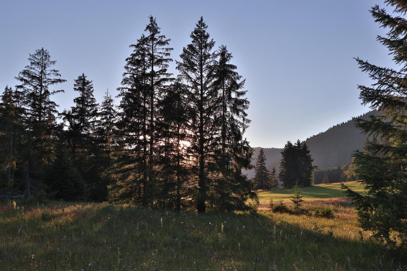 Ruhehotel & Naturresort Rehbach - Adults Only Schattwald Eksteriør bilde
