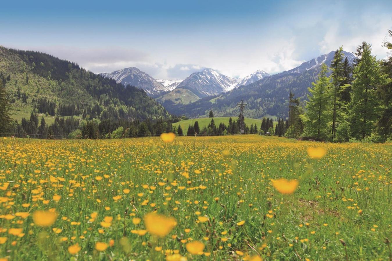 Ruhehotel & Naturresort Rehbach - Adults Only Schattwald Eksteriør bilde