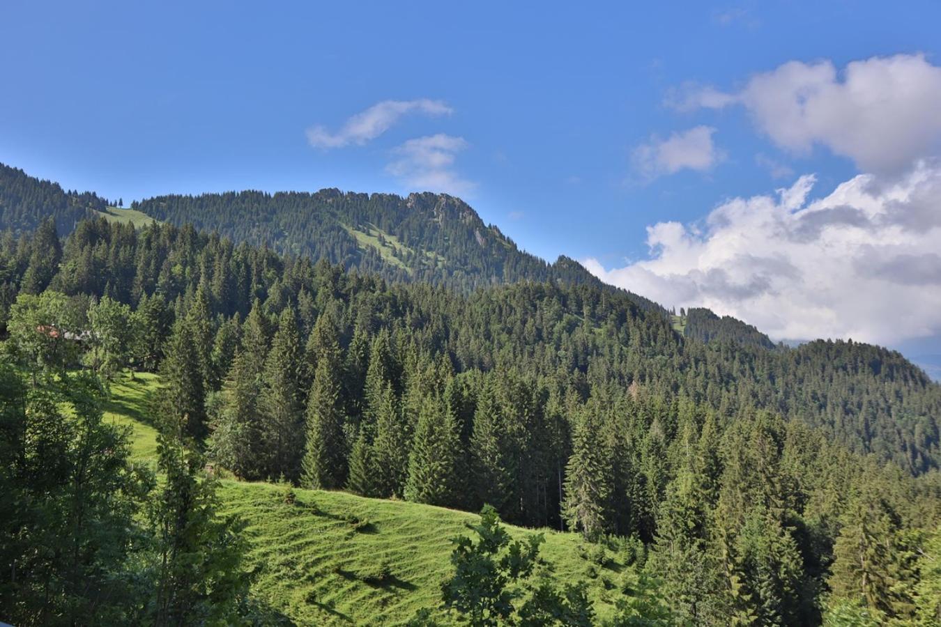 Ruhehotel & Naturresort Rehbach - Adults Only Schattwald Eksteriør bilde
